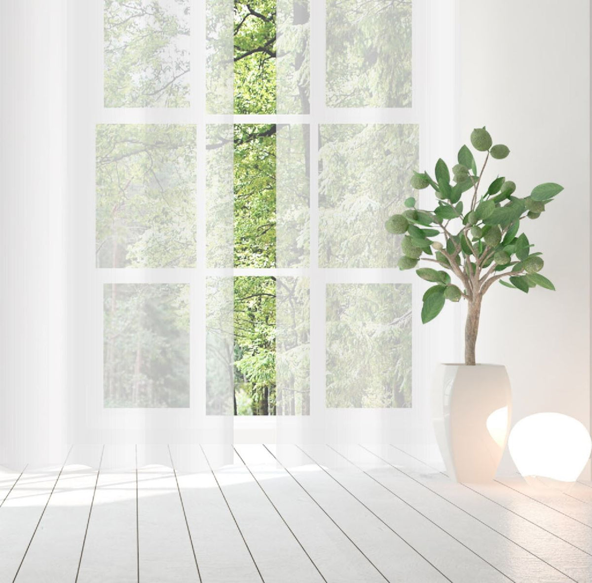White day curtain Terry