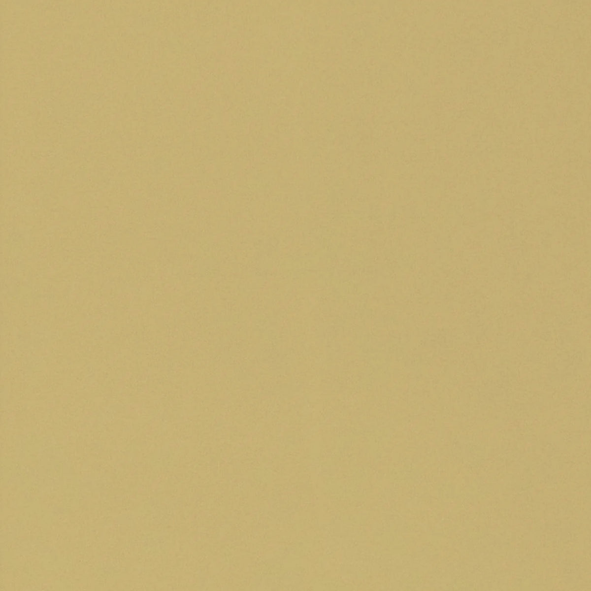 Rideau occultant beige foncé Cyrill