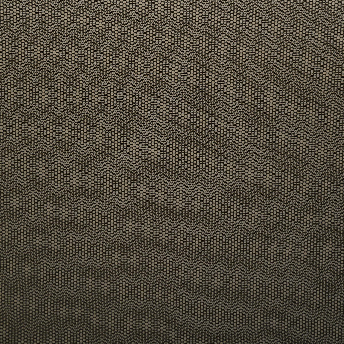 Black day curtain Tessa