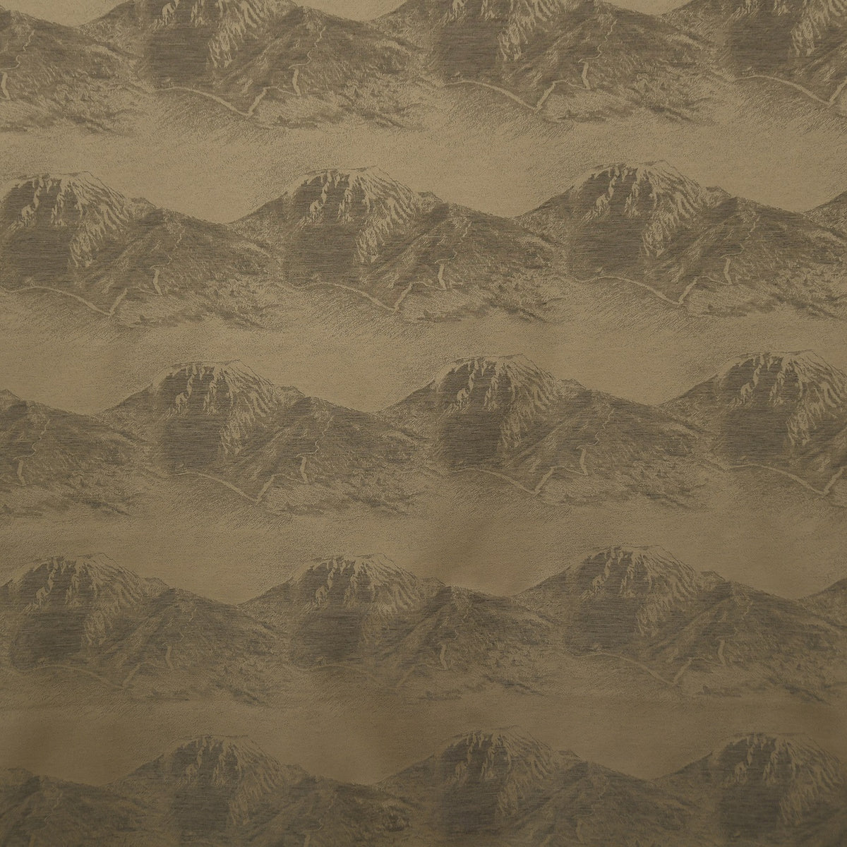 Vorhang BERNINA