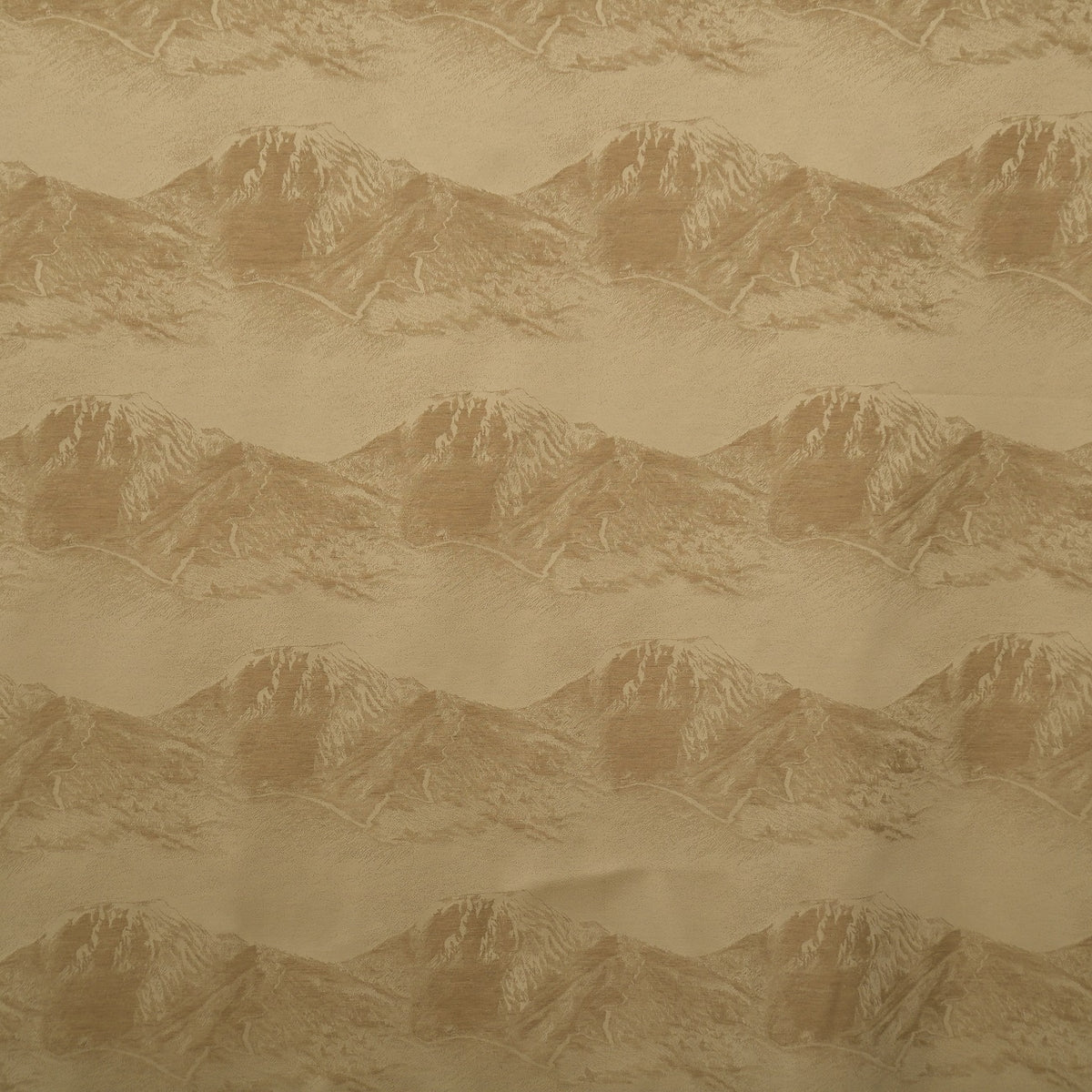 Vorhang BERNINA