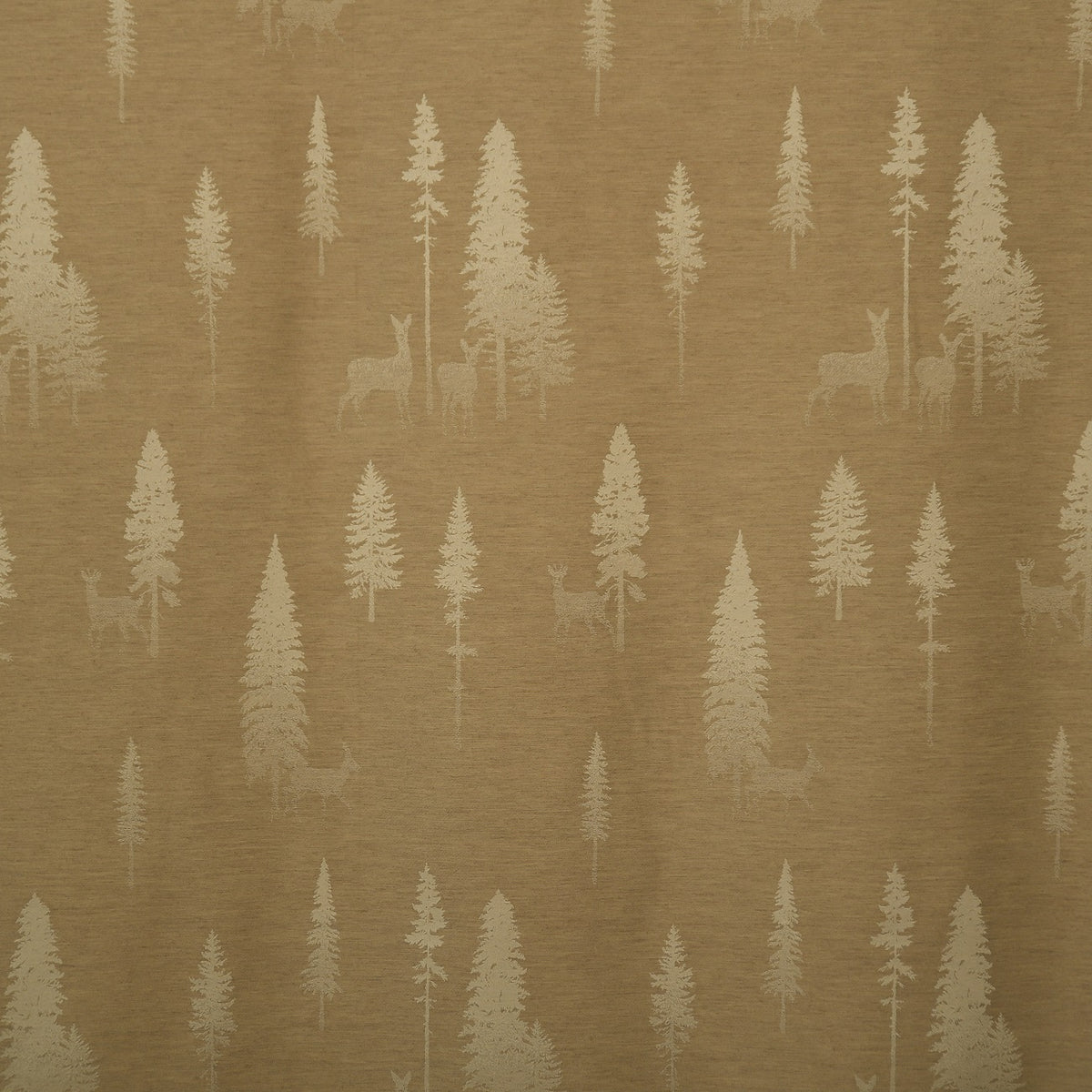 Rideau de nuit beige Tannalp
