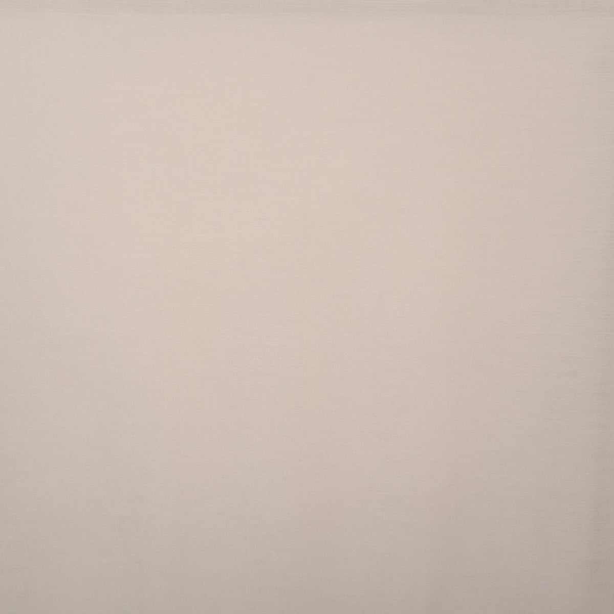 White Yeti night curtain