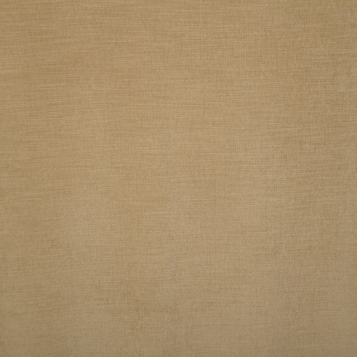 Rideau de nuit beige Yeti