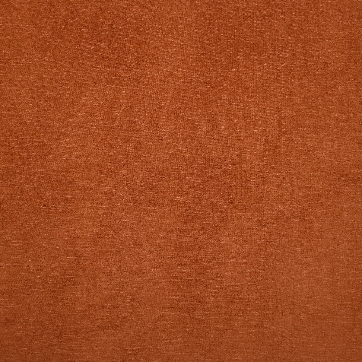 Rideau de nuit apricot Yeti