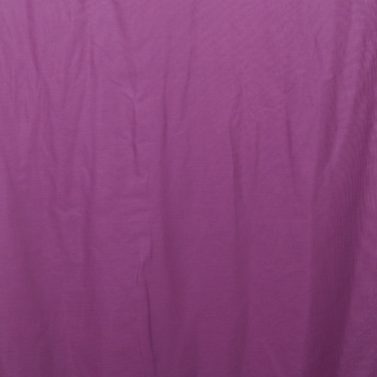 Day curtain violet Maila