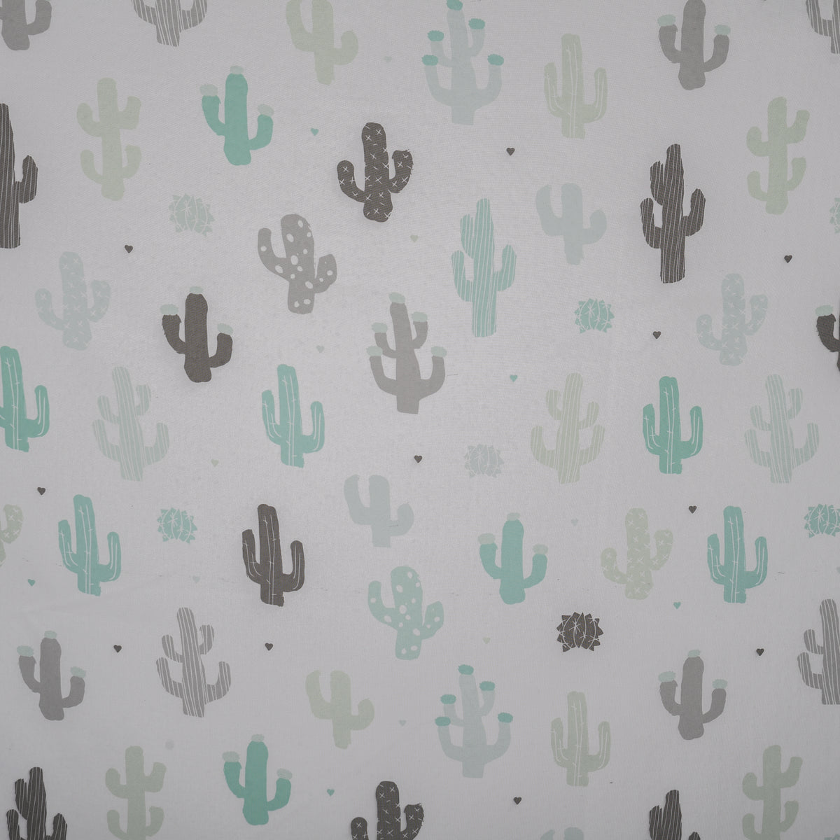 Curtain quotidien Mint Juan "Cactus"