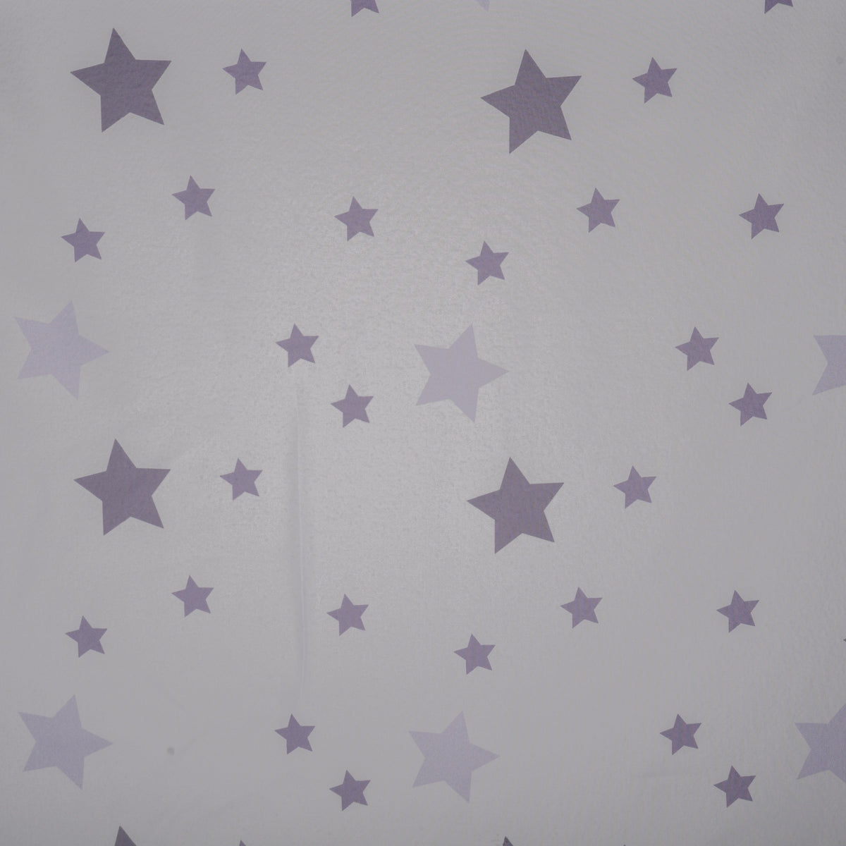 Rideau quotidien "Stars" Violet Charleen